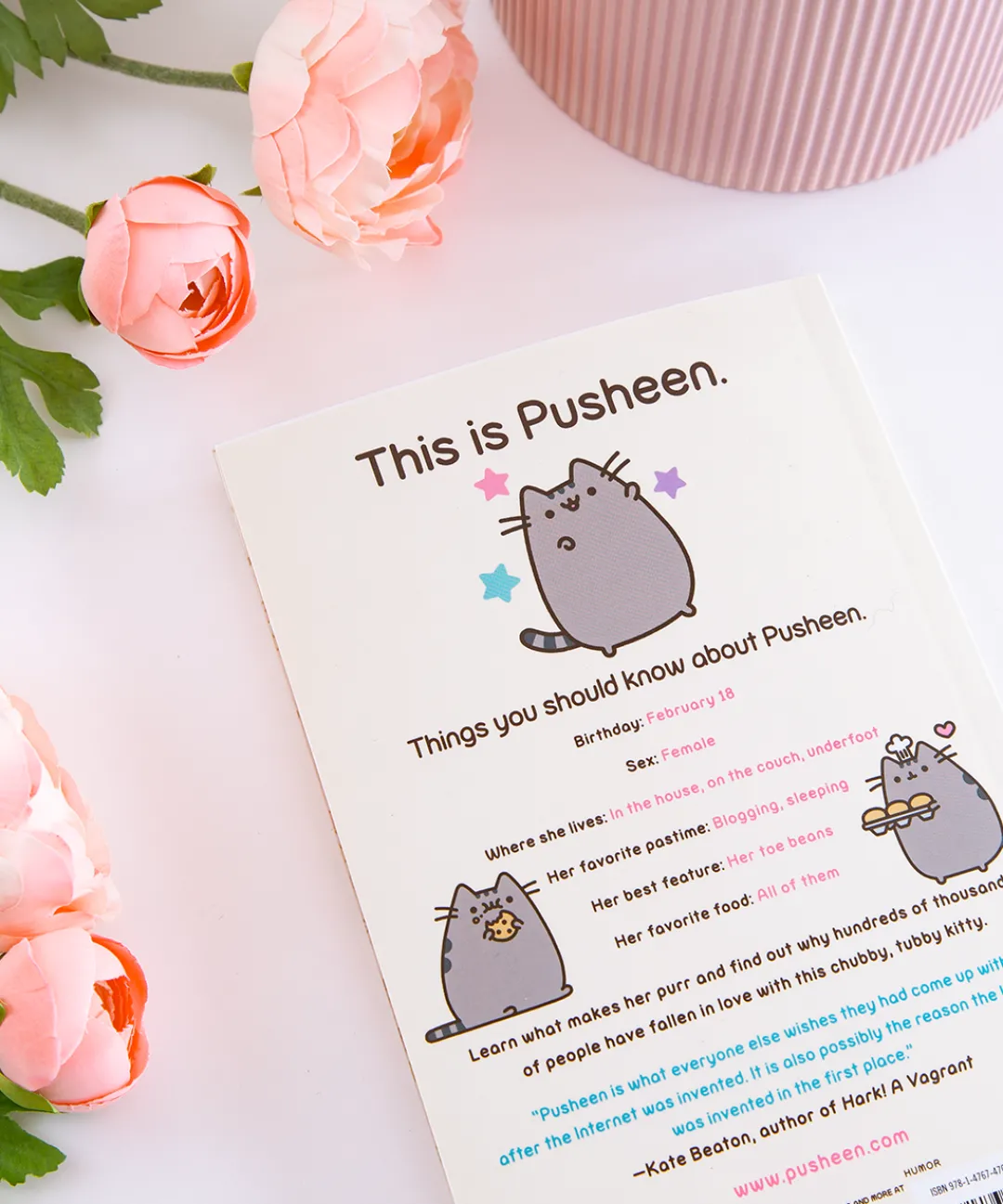 Pusheen Books & Stationery>I Am the Cat Paperback