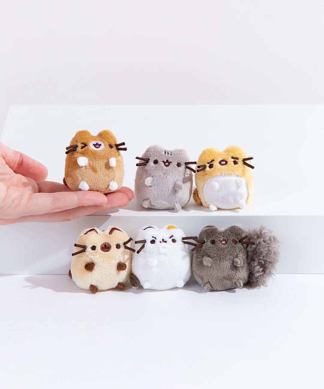 Pusheen Plush & Squisheens>I Love Kitties Plush Collectors Set