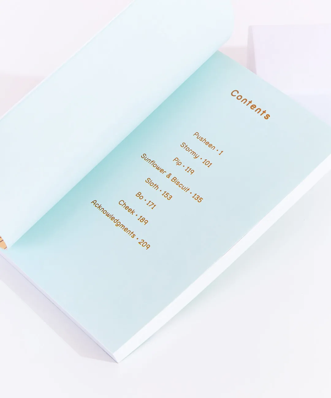 Pusheen Books & Stationery>the Cat's Guide to Everything Paperback