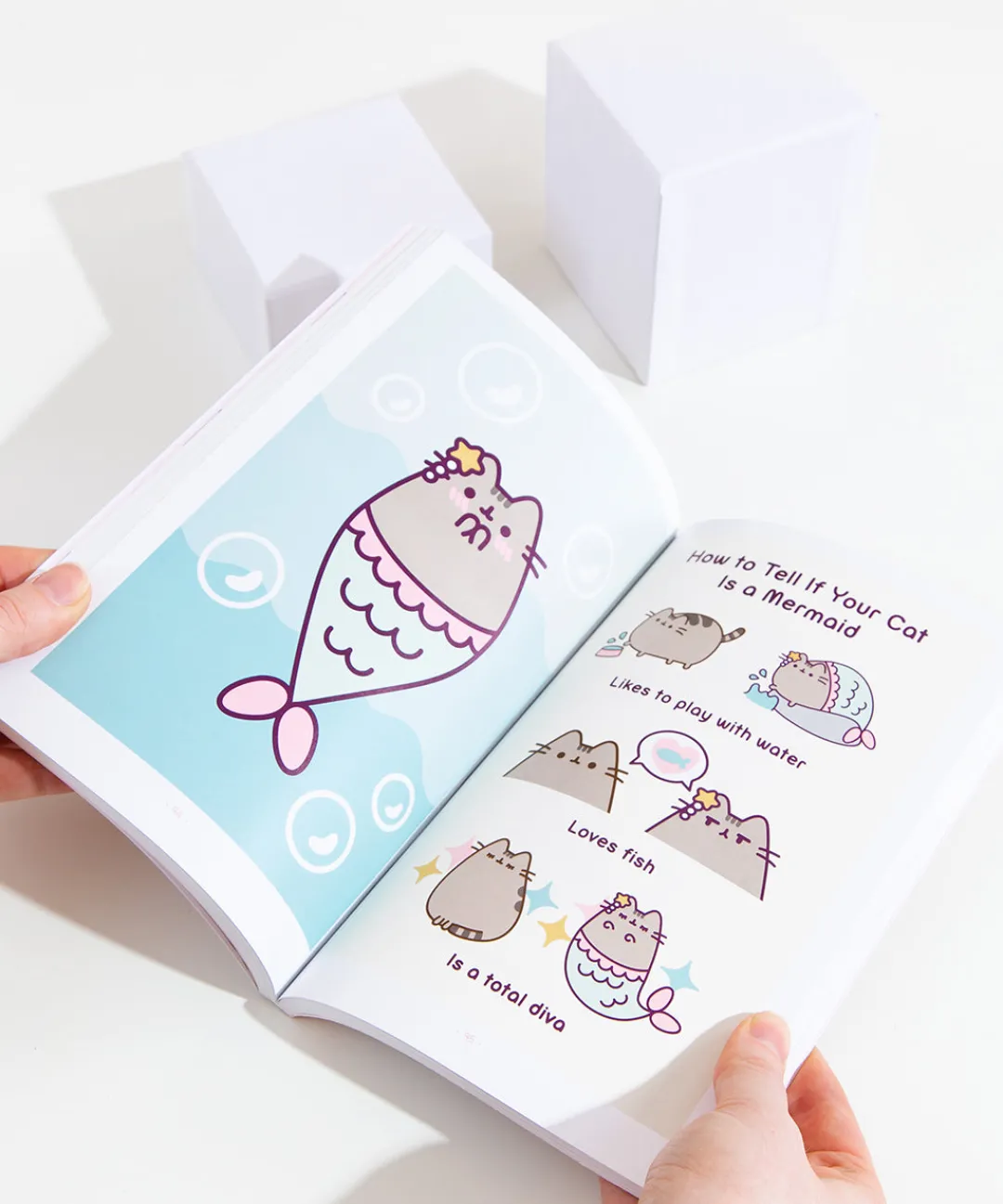 Pusheen Books & Stationery>The Many Lives of the Cat