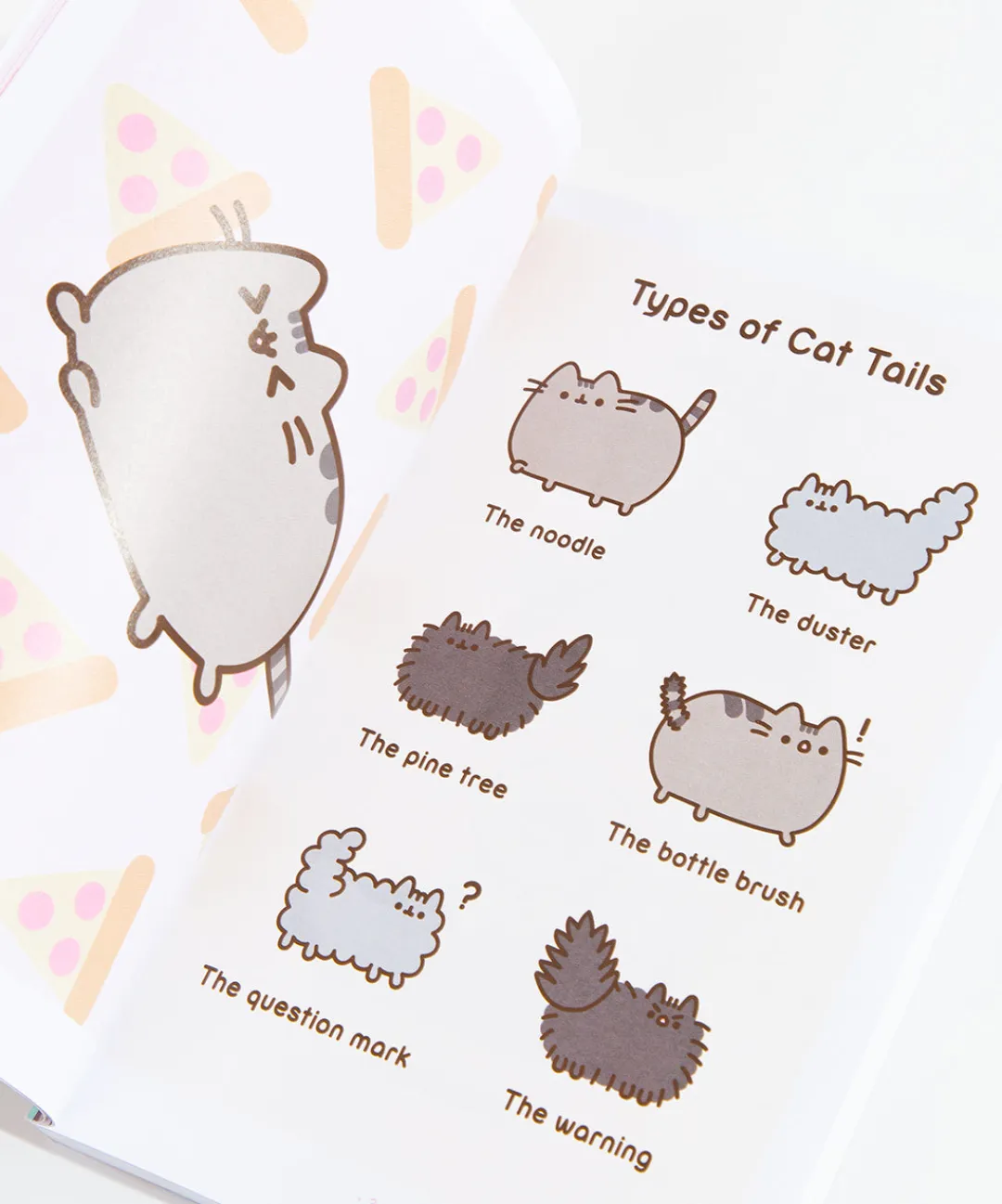 Pusheen Books & Stationery>The Many Lives of the Cat